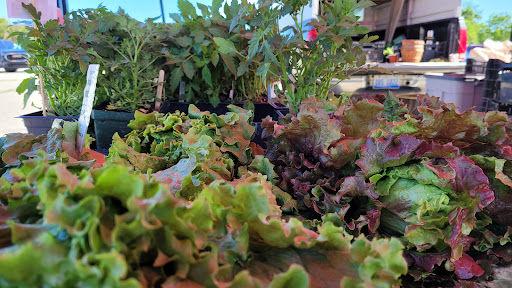 Supermarket «Mt Clemens farmers Market», reviews and photos, 135 N River Rd, Mt Clemens, MI 48043, USA