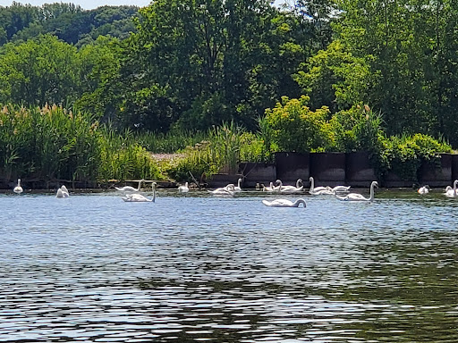 Canoe & Kayak Store «BayCreek Paddling Center, Inc.», reviews and photos, 1099 Empire Blvd, Rochester, NY 14609, USA