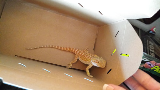 Pet Supply Store «Petco Animal Supplies», reviews and photos, 5631 Grove Blvd, Hoover, AL 35226, USA