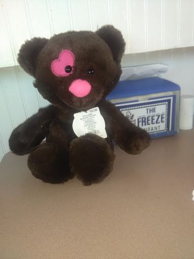 Ice Cream Shop «Freeze Restaurant», reviews and photos, 1912 Main St, Conway, SC 29526, USA