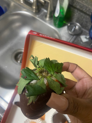 Gift Shop «Edible Arrangements», reviews and photos, 2602 E 62nd St, Indianapolis, IN 46220, USA