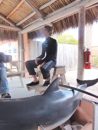 Recreation «Dolphins Plus Oceanside», reviews and photos, 31 Corinne Pl, Key Largo, FL 33037, USA