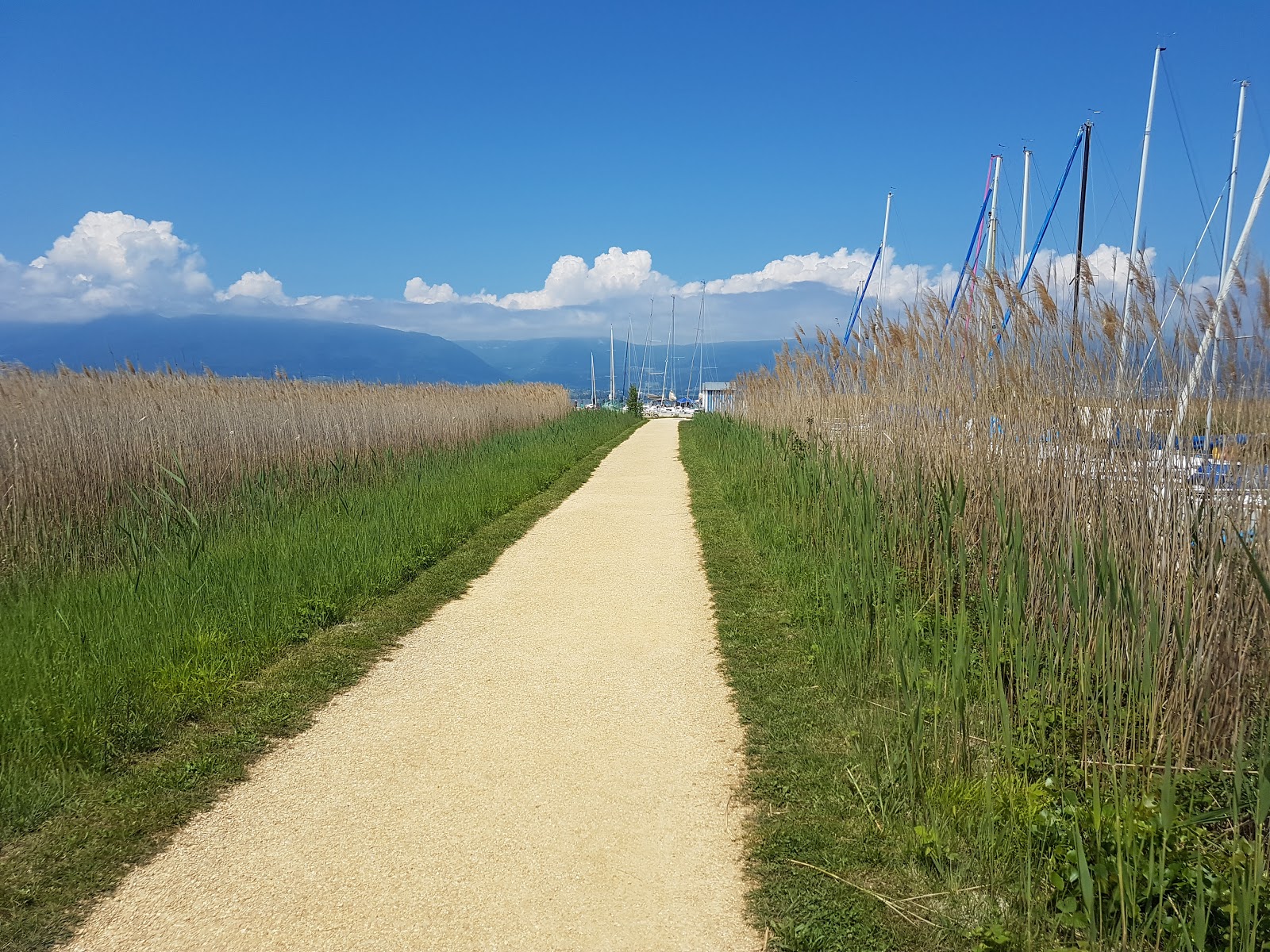 Gletterens plage photo #9