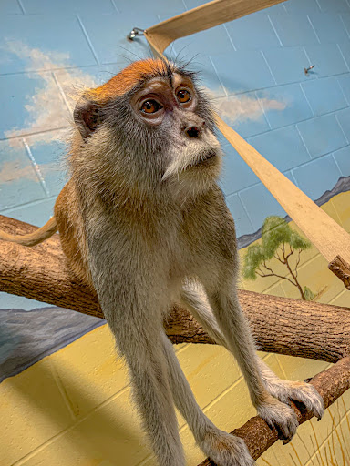 Zoo «Topeka Zoo», reviews and photos, 636 SW Zoo Pkwy, Topeka, KS 66606, USA