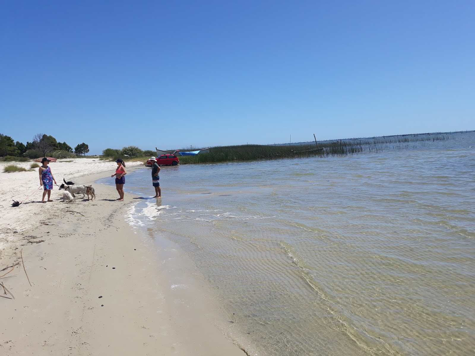 Zdjęcie Estreito Beach - popularne miejsce wśród znawców relaksu