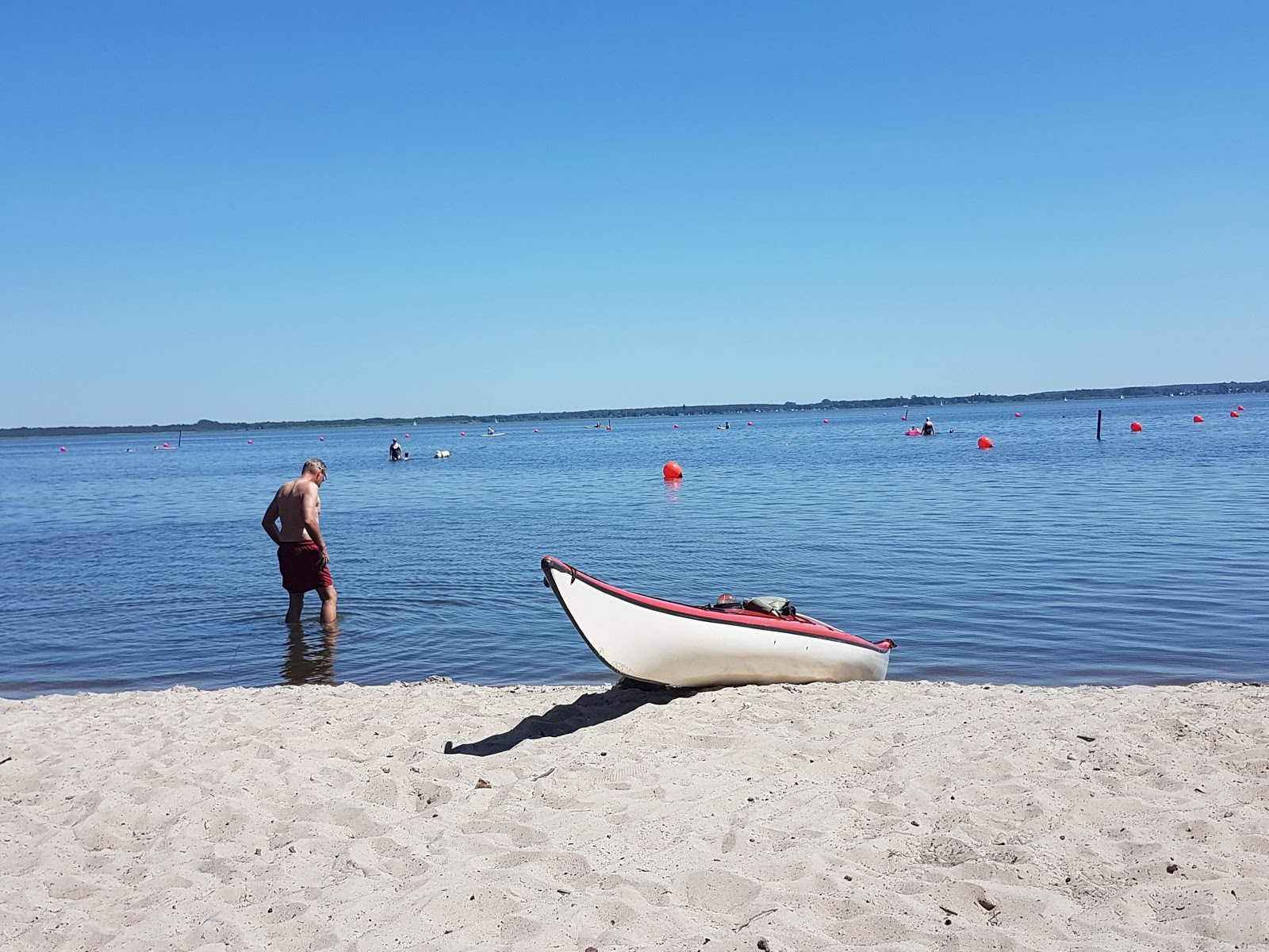 Zdjęcie Badestrand Steinhuder Meer Nordufer dziki obszar