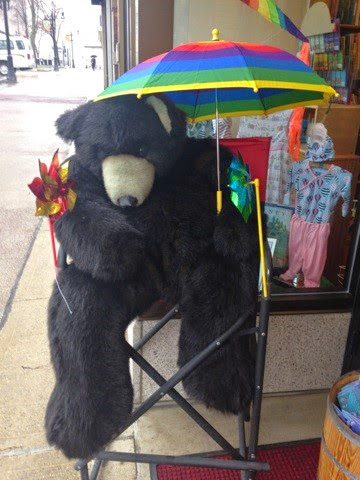 Toy Store «Capitol Kids, Ltd.», reviews and photos, 8 S Carroll St, Madison, WI 53703, USA