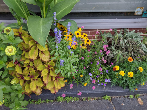 Ice Cream Shop «Owowcow Creamery», reviews and photos, 4105 Durham Rd, Ottsville, PA 18942, USA