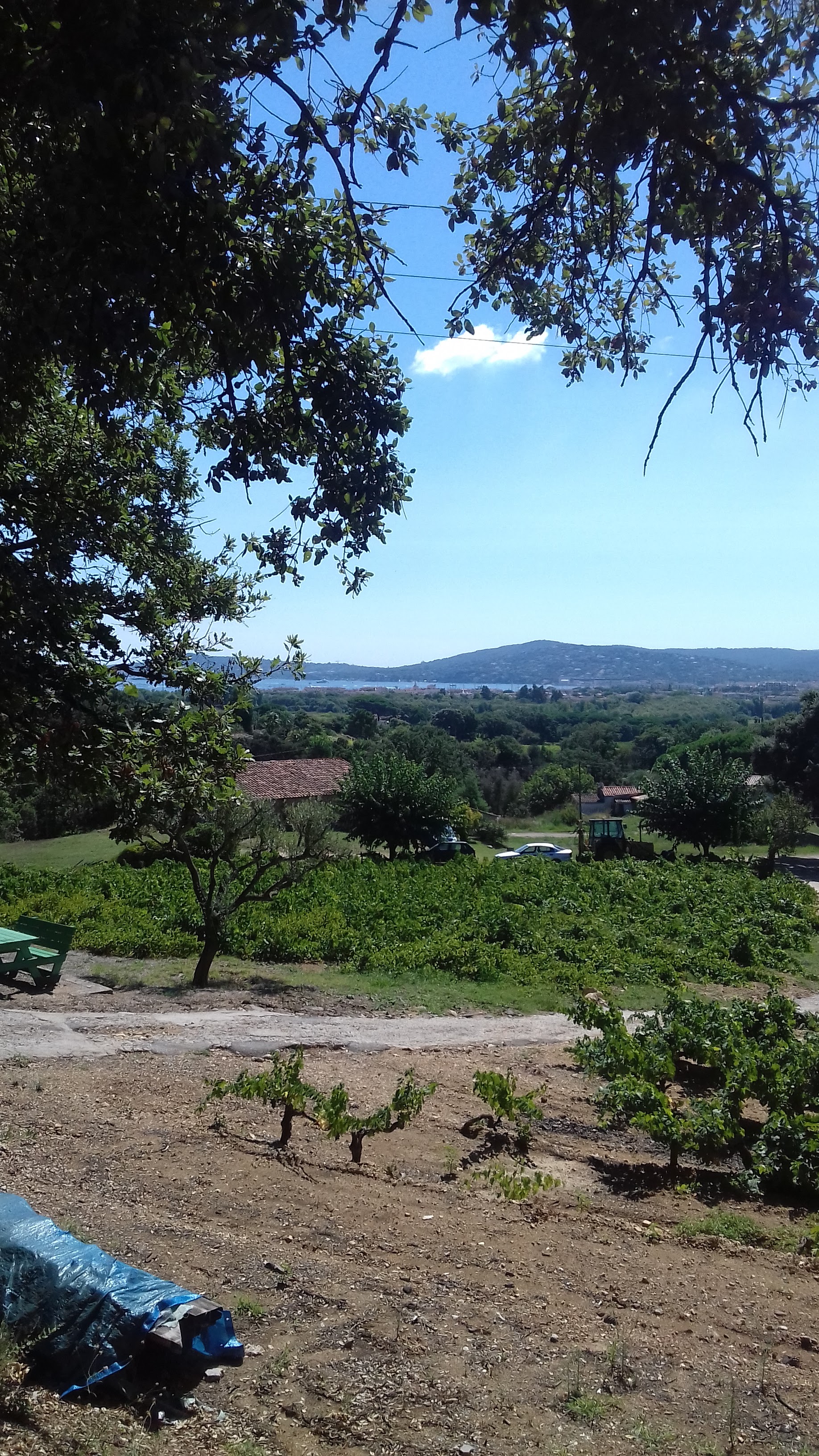 Photo n° 1 de l'avis de Daniel.a fait le 21/08/2018 à 21:20