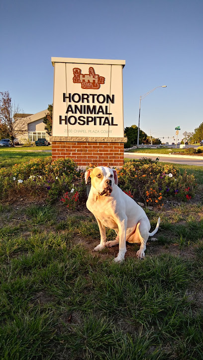 Horton Animal Hospital-Forum