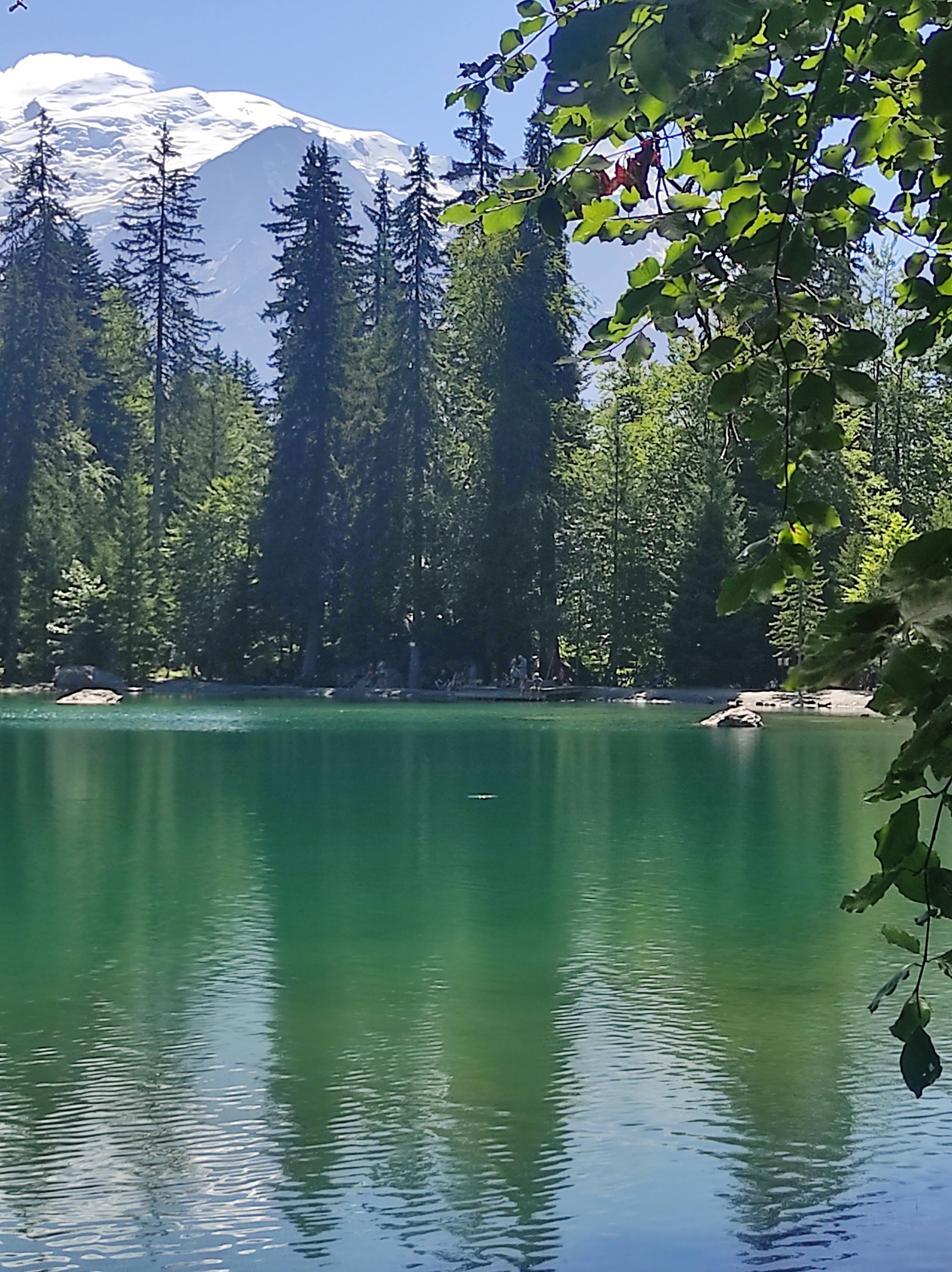 Photo n° 3 de l'avis de Pierre.e fait le 20/08/2023 à 16:44