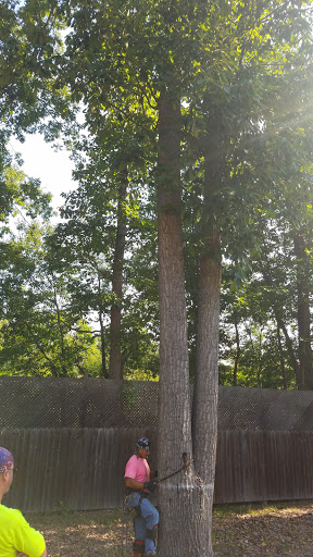 Used Car Dealer «Hunt Country Auto Sales», reviews and photos, 3198 Middleway Pike, Bunker Hill, WV 25413, USA