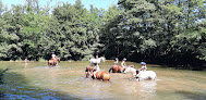 Cheval Vert Equitation Molières-Cavaillac