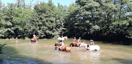 Cheval Vert Equitation à Molières-Cavaillac