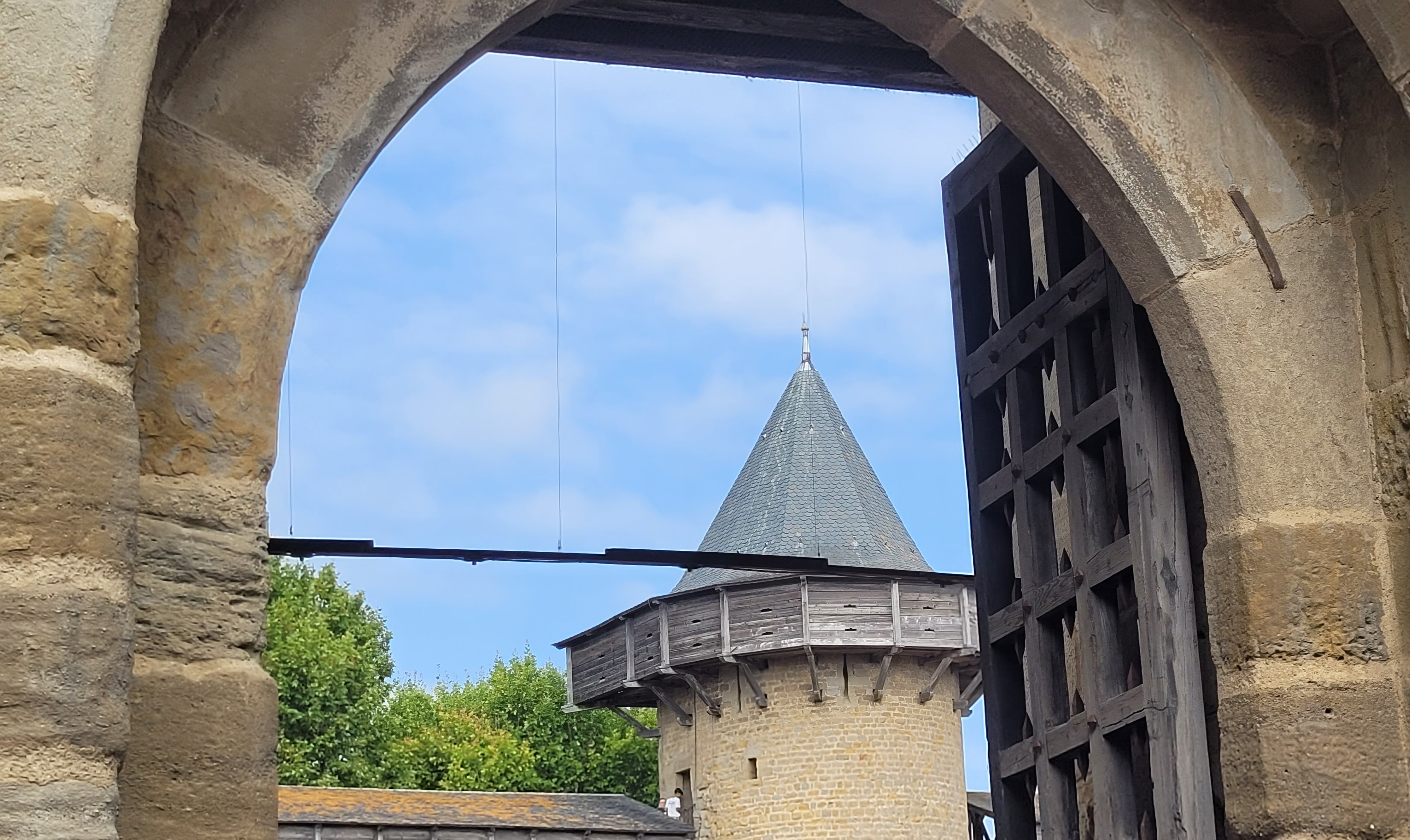 Photo n° 22 de l'avis de Caillet.a fait le 16/08/2023 à 07:03