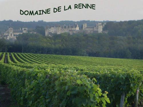 DOMAINE DE LA RENNE - Vigneron Indépendant à Saint-Romain-sur-Cher