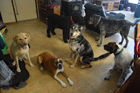 Vanlandingham Pet Service Inc, aka Sit "n" Stay Awhile - Photo 3 - Car repair in Beloit, WI, Rockford