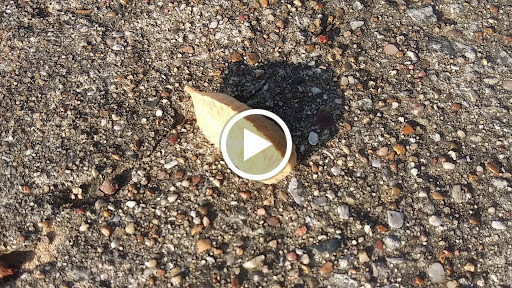 Park «Cobblestone Trail Park», reviews and photos, 7601 John T White Rd, Fort Worth, TX 76120, USA