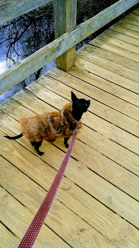 State Park «Parvin State Park», reviews and photos, 701 Almond Rd, Pittsgrove Township, NJ 08318, USA