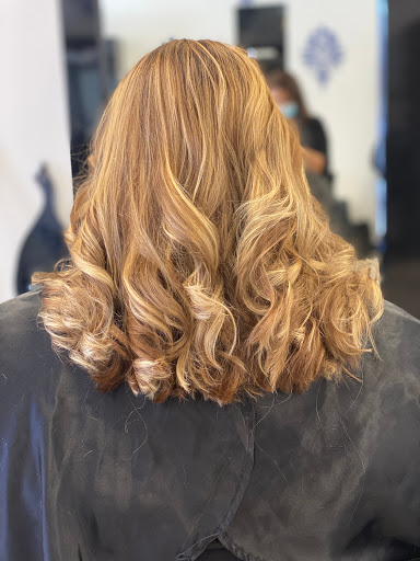 Hair Salon «Viva Salon & Spa», reviews and photos, 3651 Dawson Forest Rd E, Dawsonville, GA 30534, USA