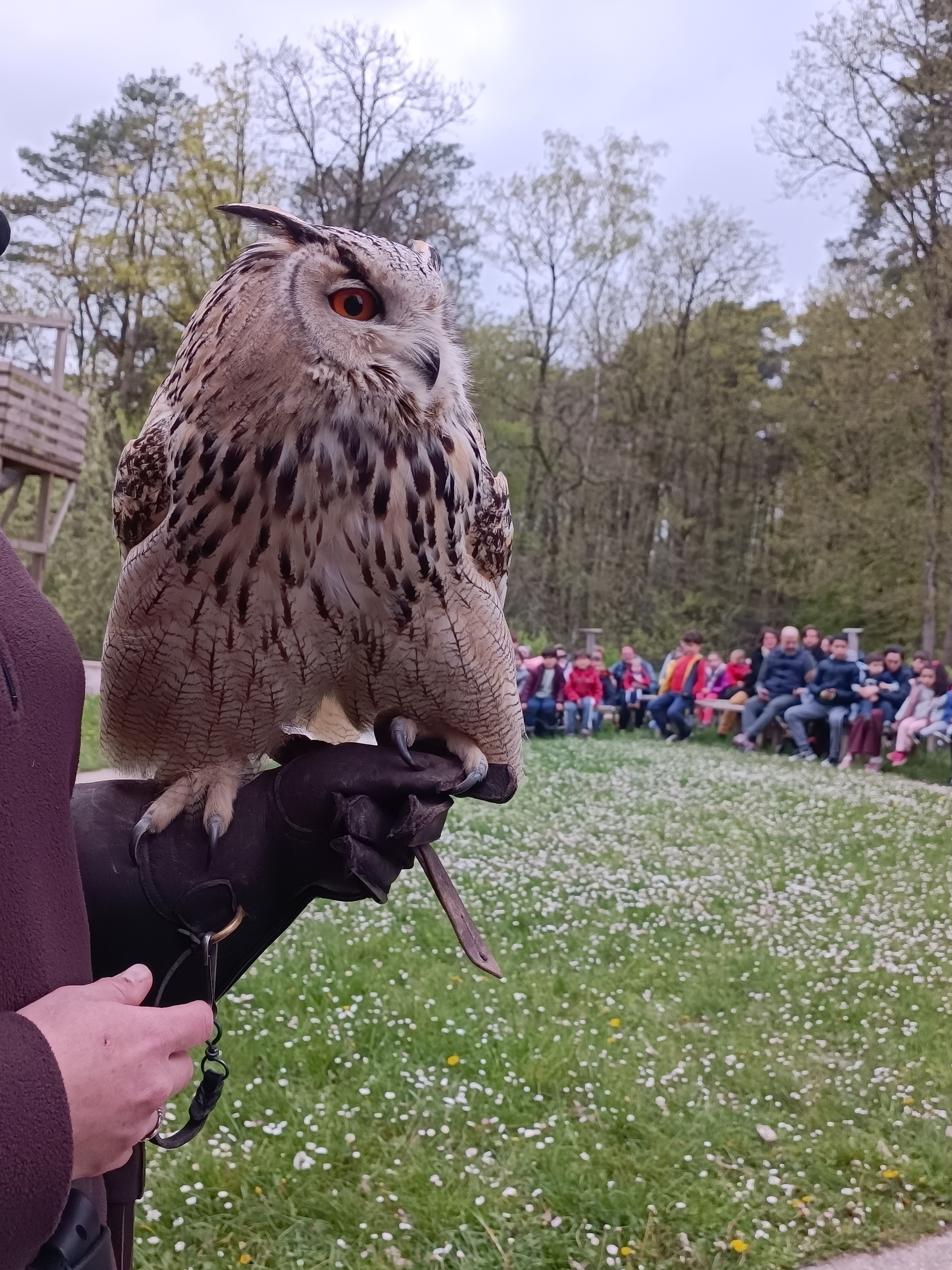 Photo n° 3 de l'avis de Magali.e fait le 30/04/2023 à 12:05