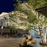 Photo n°5 de l'avis de Martitta. fait le 03/05/2024 à 17:18 sur le  Gran Bar Turin à Turin