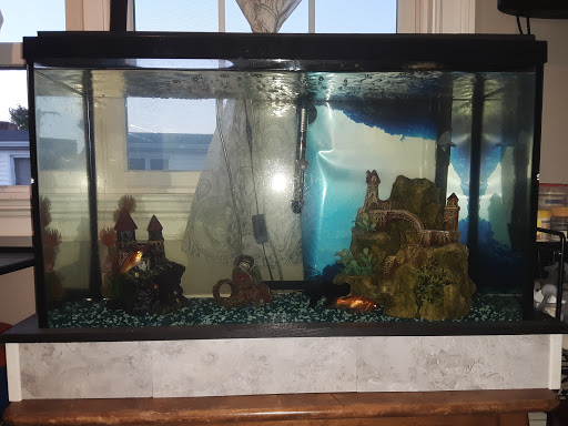 Pet Supply Store «Petco Animal Supplies», reviews and photos, 300 Quaker Ln #3, Warwick, RI 02886, USA