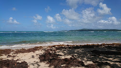 Foto di Plage de Trinite area servizi