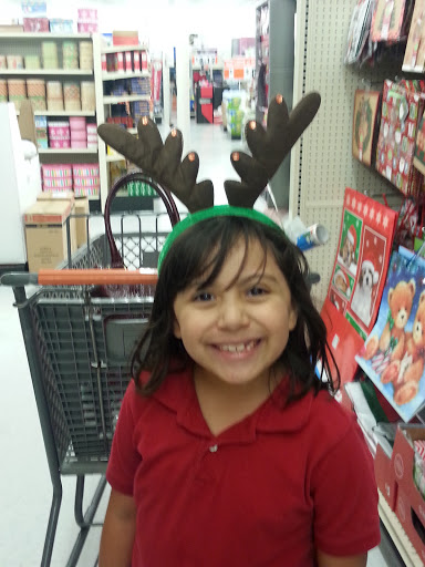 Discount Store «Big Lots», reviews and photos, 340 Summit Dr, Lockport, IL 60441, USA