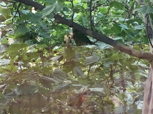 Museum «Museum of American Armor», reviews and photos, 1303 Round Swamp Rd, Plainview, NY 11803, USA