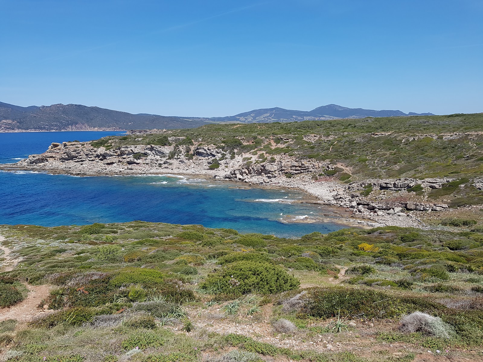 Cala del Turco的照片 带有碧绿色纯水表面
