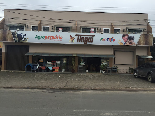 Rua Dr. Javert Madureira, 1729 - Jardim das Araucarias, Castro - PR, 84174-060