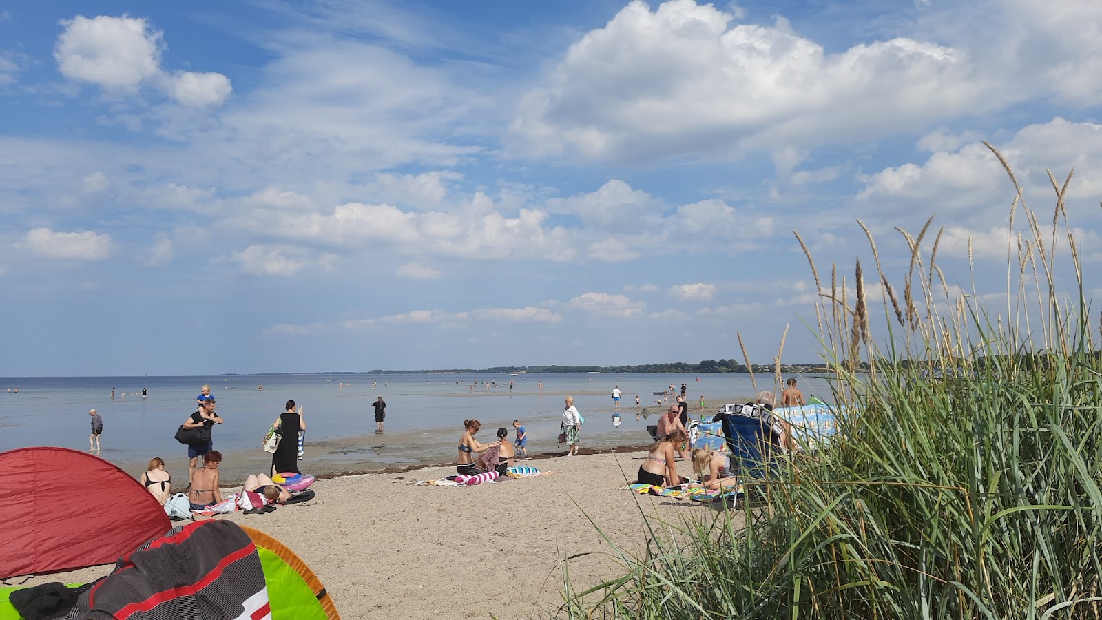 Φωτογραφία του Wohlenberger Wiek Beach με #20 επιφάνεια