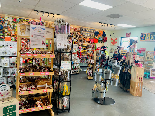 Paws 'n' Play Arvada