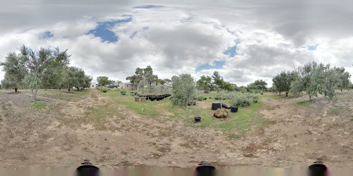 Tourist Attraction «The Bella Vista Ranch / First Texas Olive Oil Co.», reviews and photos, 3101 Mt Sharp Rd, Wimberley, TX 78676, USA