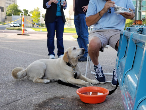 Museum «Amon Carter Museum of American Art», reviews and photos, 3501 Camp Bowie Blvd, Fort Worth, TX 76107, USA