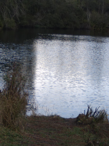 Nature Preserve «Serenova Tract», reviews and photos, 14900 Florida 52, Land O Lakes, FL 34638, USA