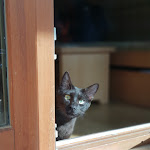 Photo n° 27 de l'avis de james. fait le 12/05/2018 à 13:41 pour Résidence Labellemontagne - Les Grandes Feignes à La Bresse