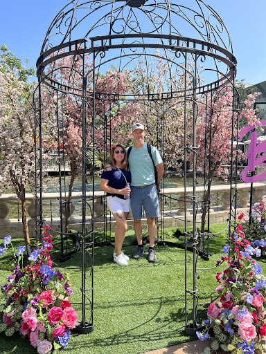 LA VIP Tours image