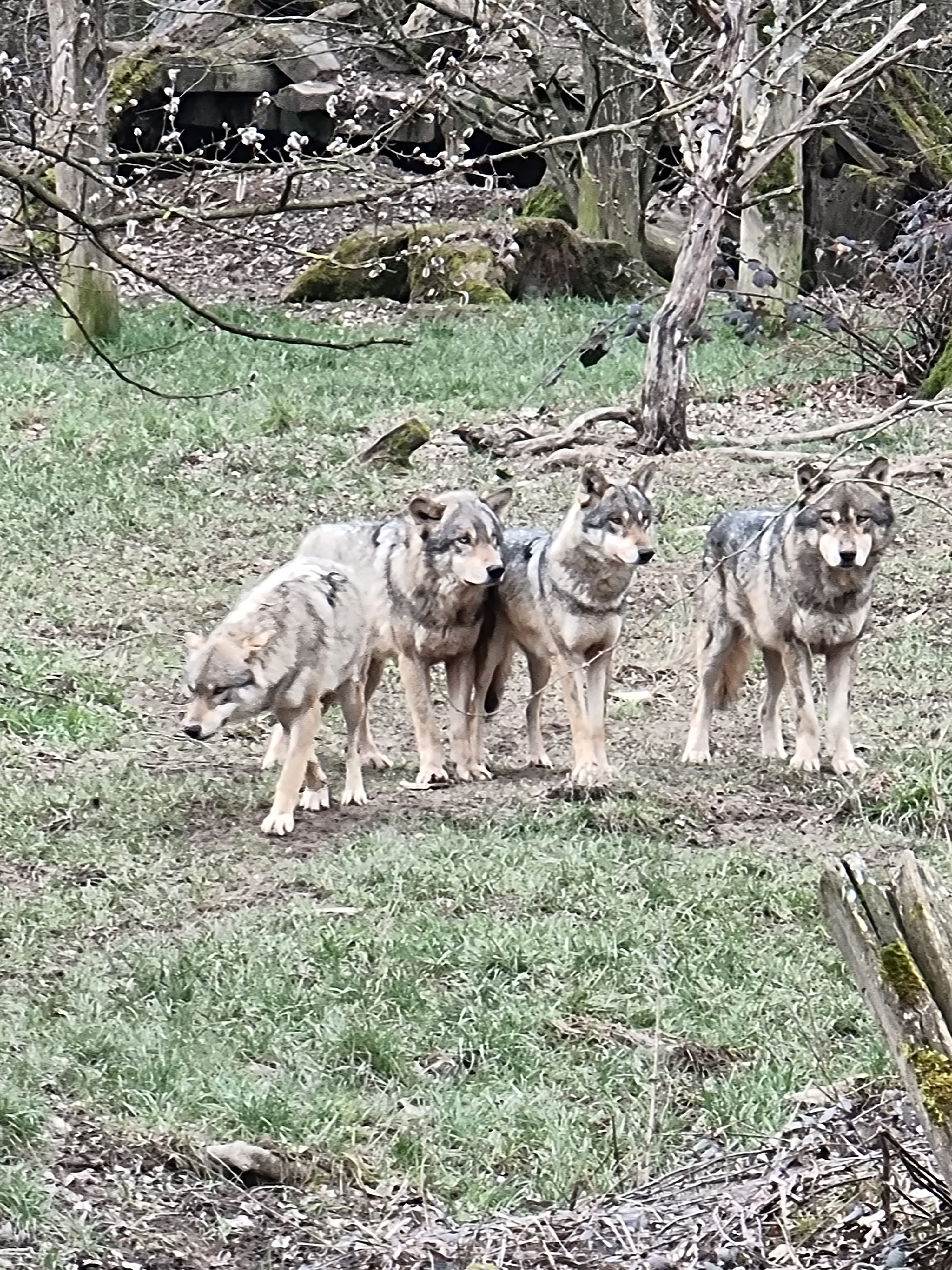 Photo n° 33 de l'avis de percque.a fait le 12/03/2023 à 16:11