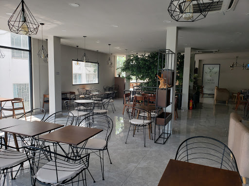 Top 15 cửa hàng alley Huyện Bình Giang Hải Dương 2022