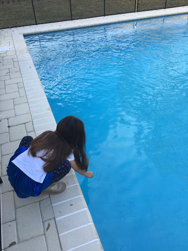 Swimming Pool Repair Service «Swim And Splash Pool And Spa Repair», reviews and photos, 9300 SW 136th St, Miami, FL 33176, USA