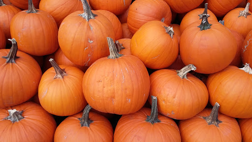 Grocery Store «Quality Food Center», reviews and photos, 22828 100th Ave W, Edmonds, WA 98020, USA