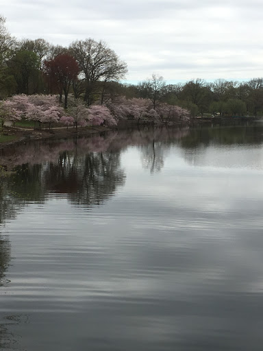 Roller Skating Rink «Branch Brook Park Roller Skating Center», reviews and photos, Clifton Ave, Newark, NJ 07104, USA