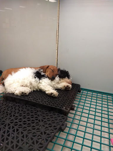 Pet Store «Friendly Pets», reviews and photos, 625 Friendly Center Rd, Greensboro, NC 27408, USA