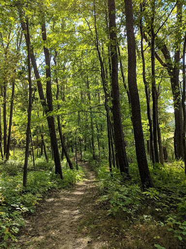 Nature Preserve «Lost Lake Nature Preserve», reviews and photos, Evans Rd, Holly, MI 48442, USA