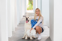 Shea Rose Photography - Photo 8 - Car repair in , Orlando