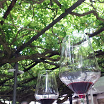 Photo n°5 de l'avis de Silvia. fait le 19/09/2020 à 15:18 sur le  Ristorante Antica Trattoria Taparo à Torreglia