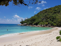 Foto di Spiaggia di Petite Anse Kerlan con molto pulita livello di pulizia