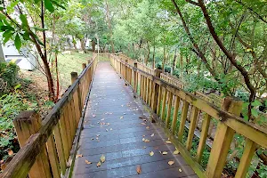 Jinshanmian Park image